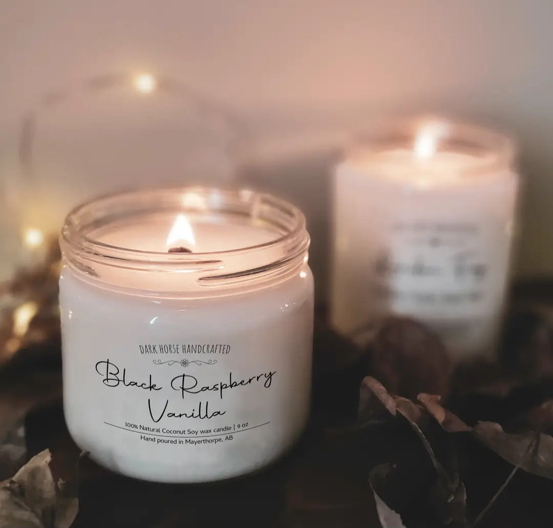 Black Raspberry Vanilla- 100% Natural Coconut Soy Wax Candle: 3.5 oz